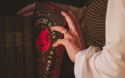 Drei gesellschaftskritische Themen in Blood Over Bright Haven