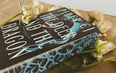 The Deer and the Dragon: Viel Spice und doch ein fades Geschmackserlebnis